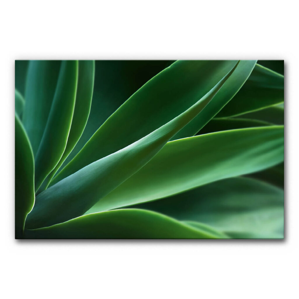 Akustikbild mit grünen Blättern