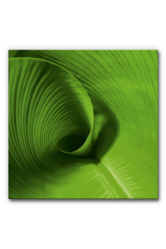 Akustikbild Kraft des Wachsens