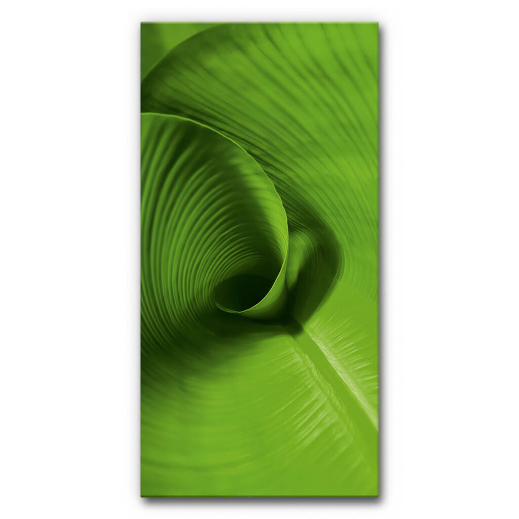 Akustikbild Kraft des Wachsens