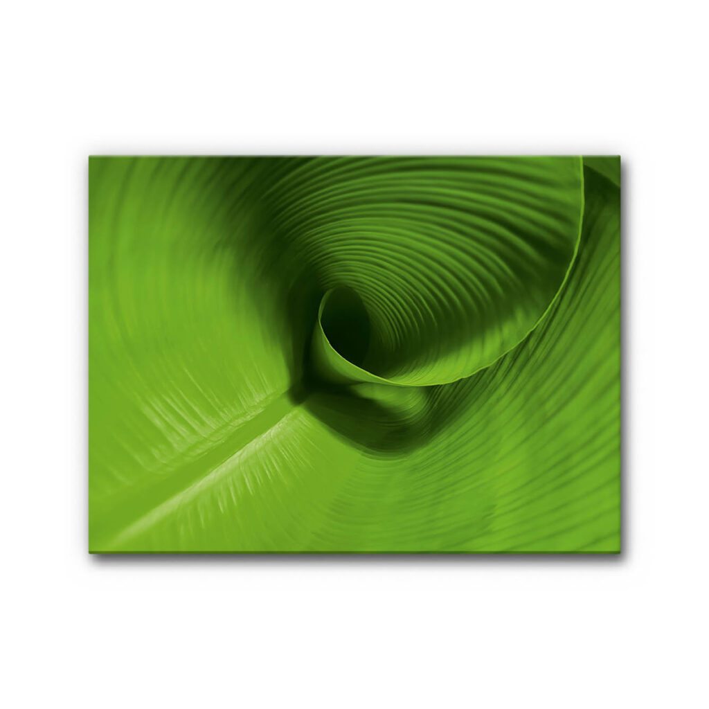 Akustikbild Kraft des Wachsens