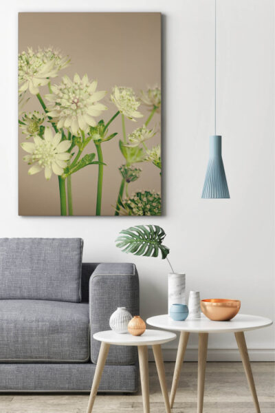 Akustikbild Kleiner Garten