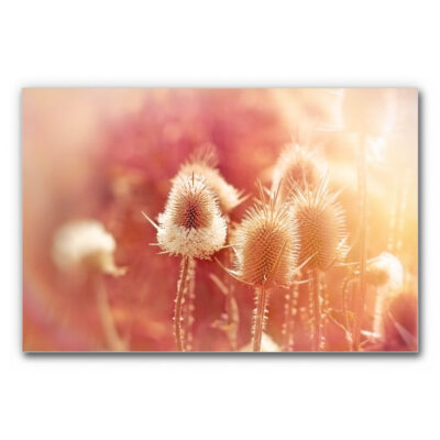 Akustikbild Sommerabend