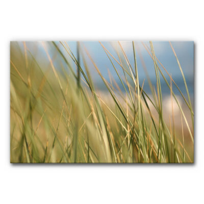 Akustikbild Gräser 2