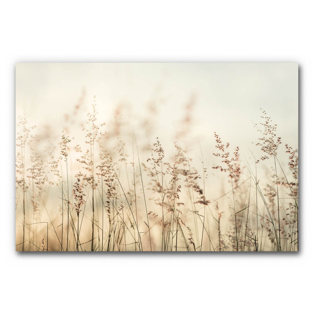 Akustikbild mit Wiese in Beige und Gelb