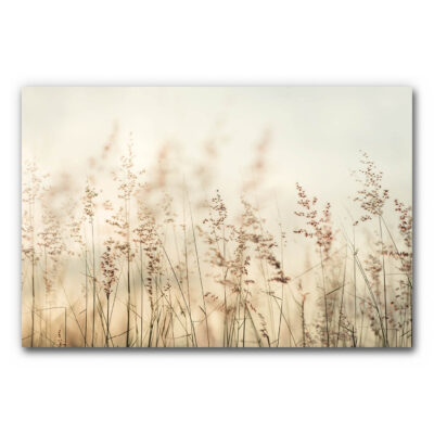 Akustikbild Wiesentraum