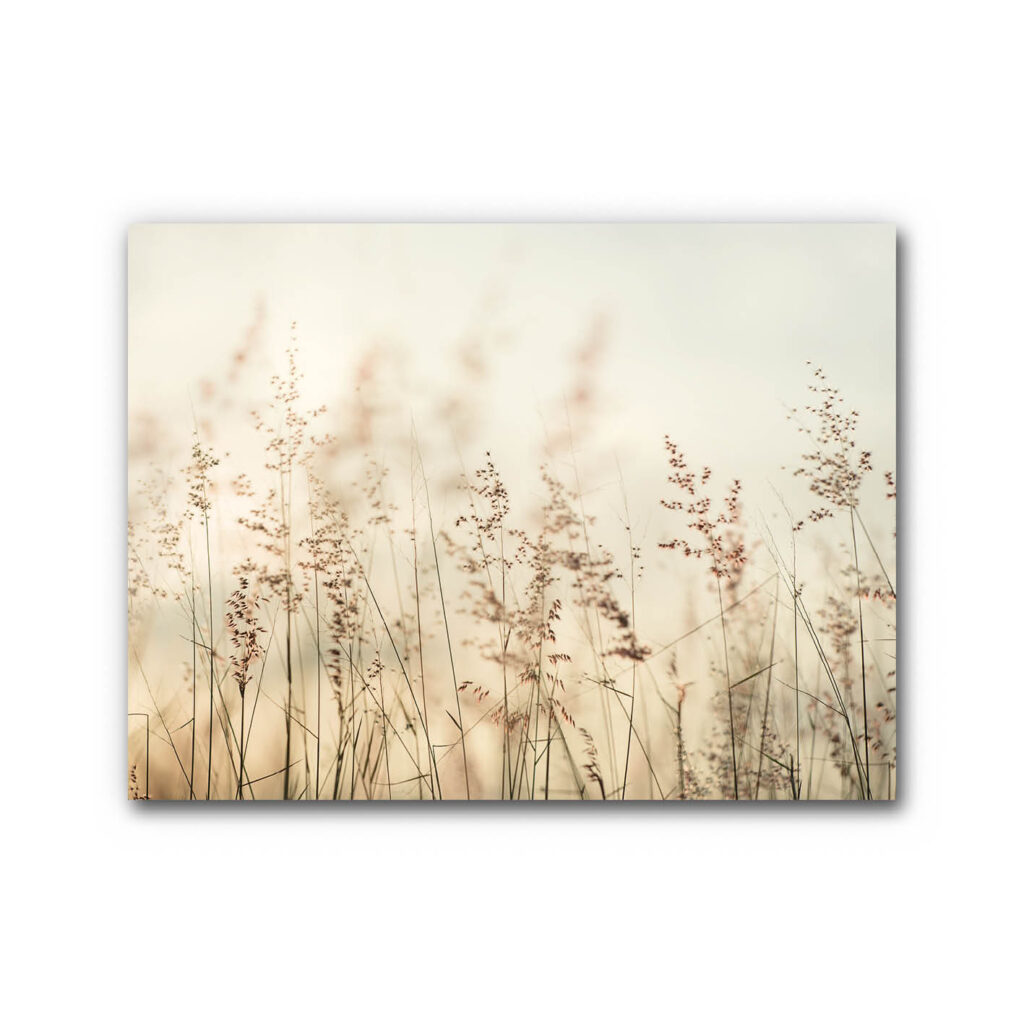 Akustikbild Wiesentraum