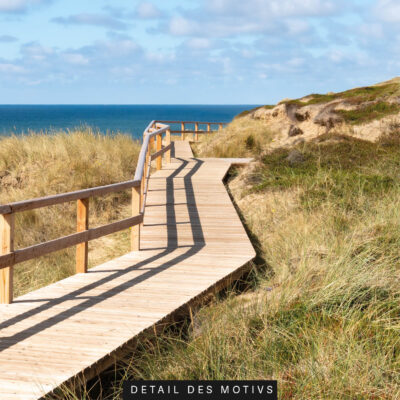 Detailansicht des Motivs Steg in den Dünen