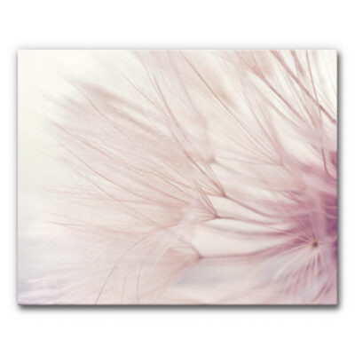 Textil Dandelion Dreamer, 100x80 cm, SensationSeide