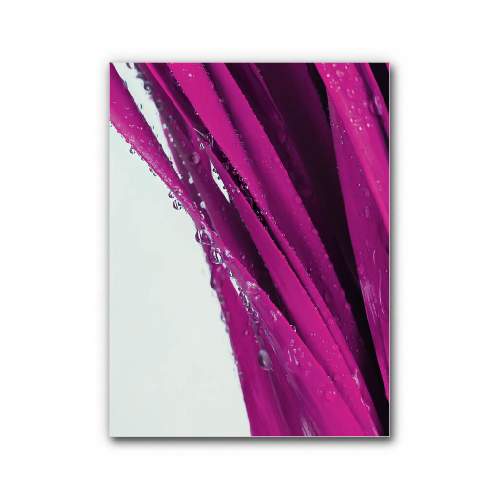 Akustikbild Tauperlen