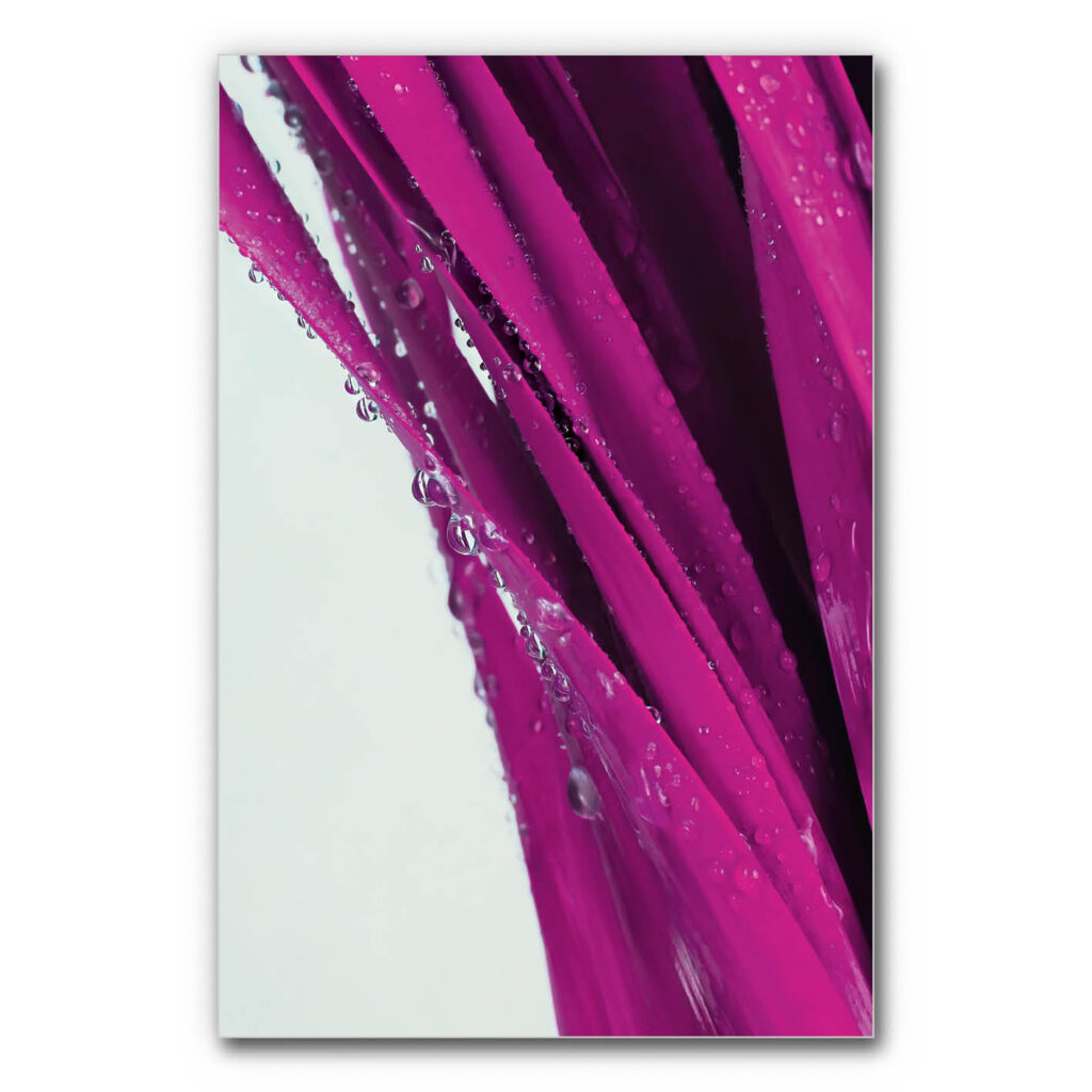 Akustikbild Tauperlen