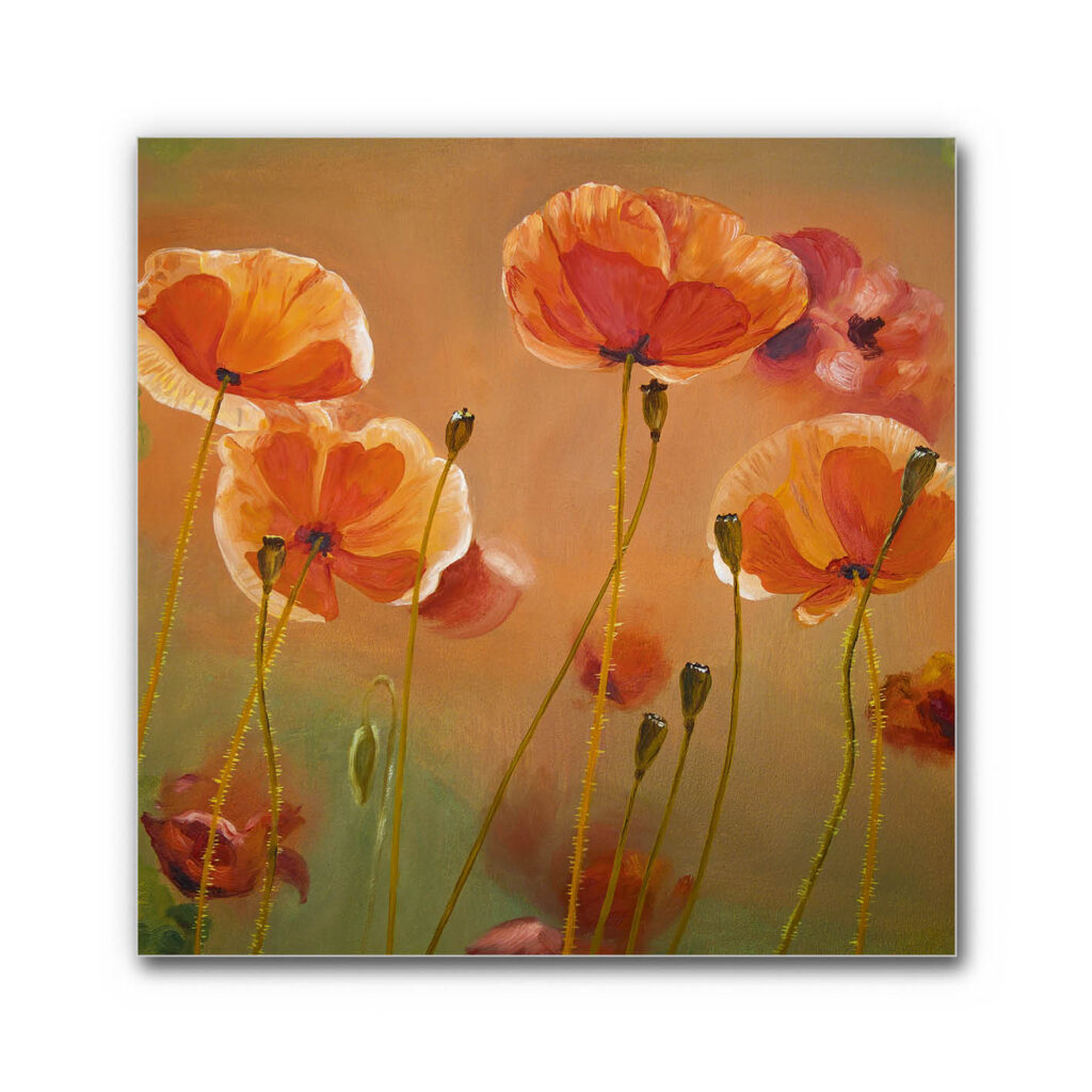 Akustikbild Mohnfeld 2