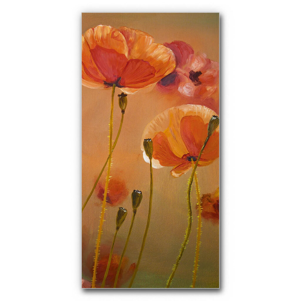 Akustikbild Mohnfeld 2