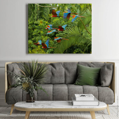 Akustikbild Buntes Paradies