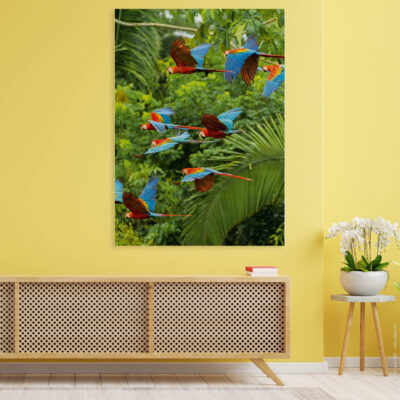 Akustikbild "Buntes Paradies" mit Papageien im Flug im Dschungel über einem braunen Sideboard vor gelber Wand