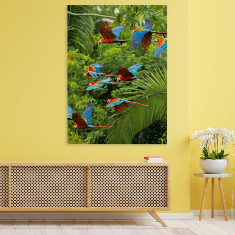 Akustikbild "Buntes Paradies" mit Papageien im Flug im Dschungel über einem braunen Sideboard vor gelber Wand