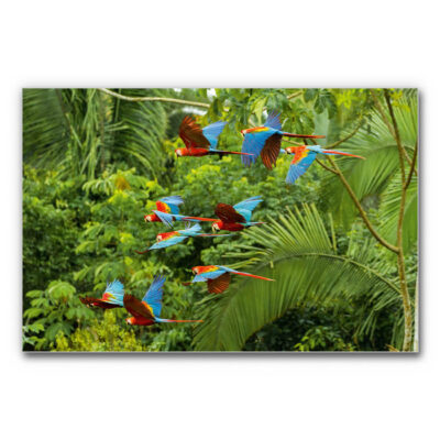 Akustikbild Buntes Paradies