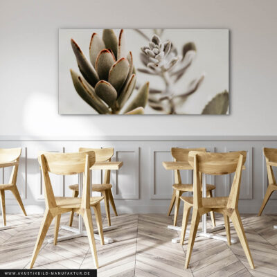 Akustikbild Sukkulenten II (140x70x4 cm CanvasStyle, SensationSeide)
