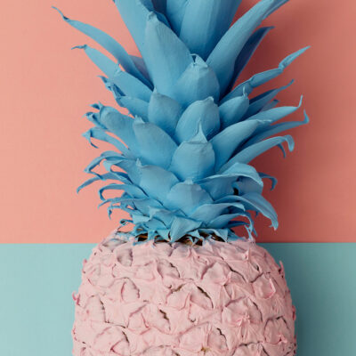 akustibilder gastronomie kueche essen trinken akustikbilder wandabsorber obst stillleben detail ananas lachs