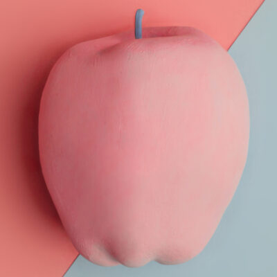 kunst absorberbilder gastronomie kueche essen trinken akustikbilder wandabsorber obst stillleben apfel detail