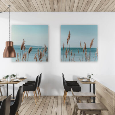 Akustikbild Gräser 5