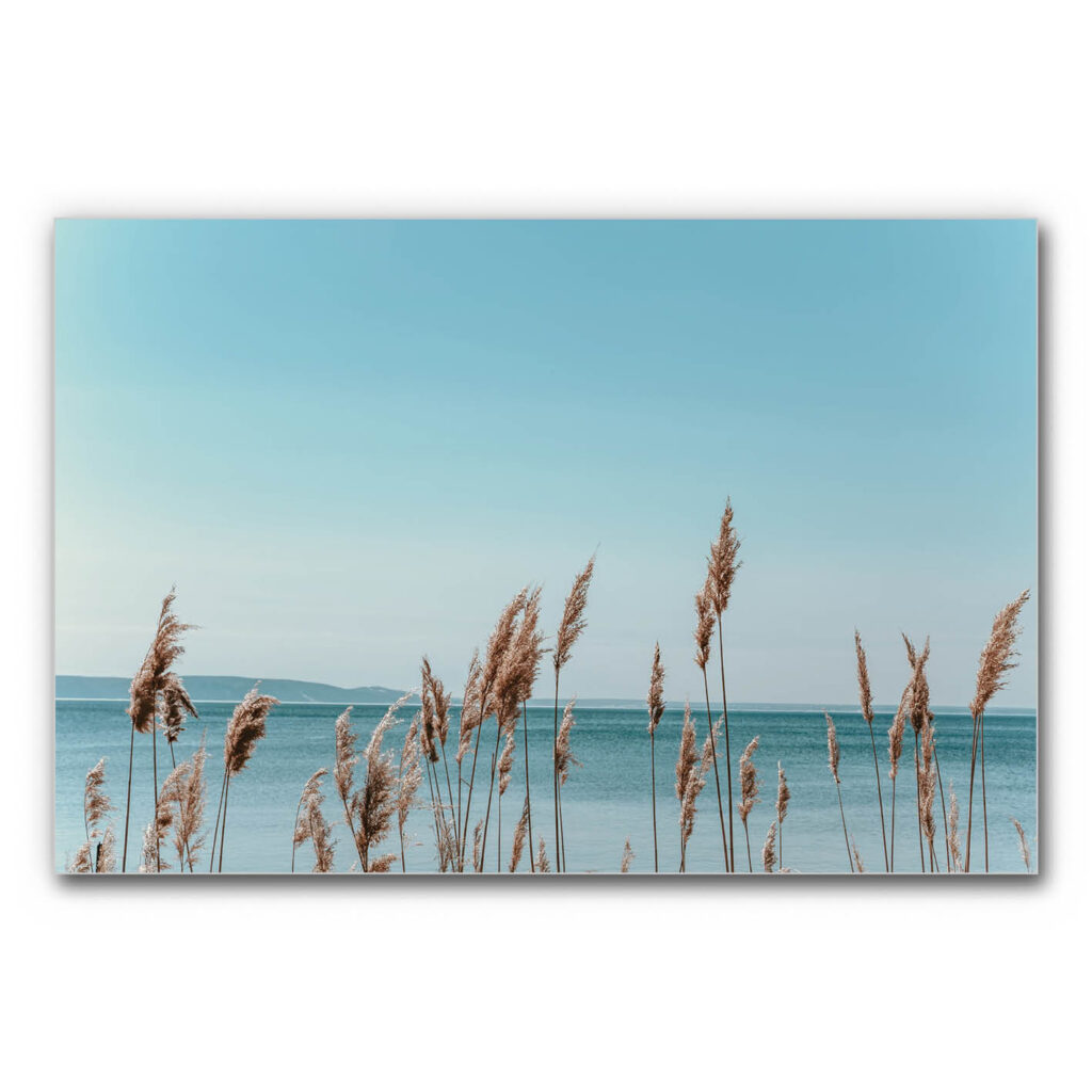 Akustikbild Gräser 5