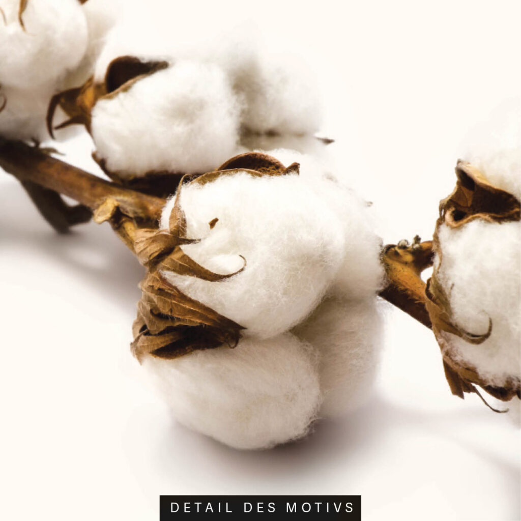 Akustikbild Baumwolle