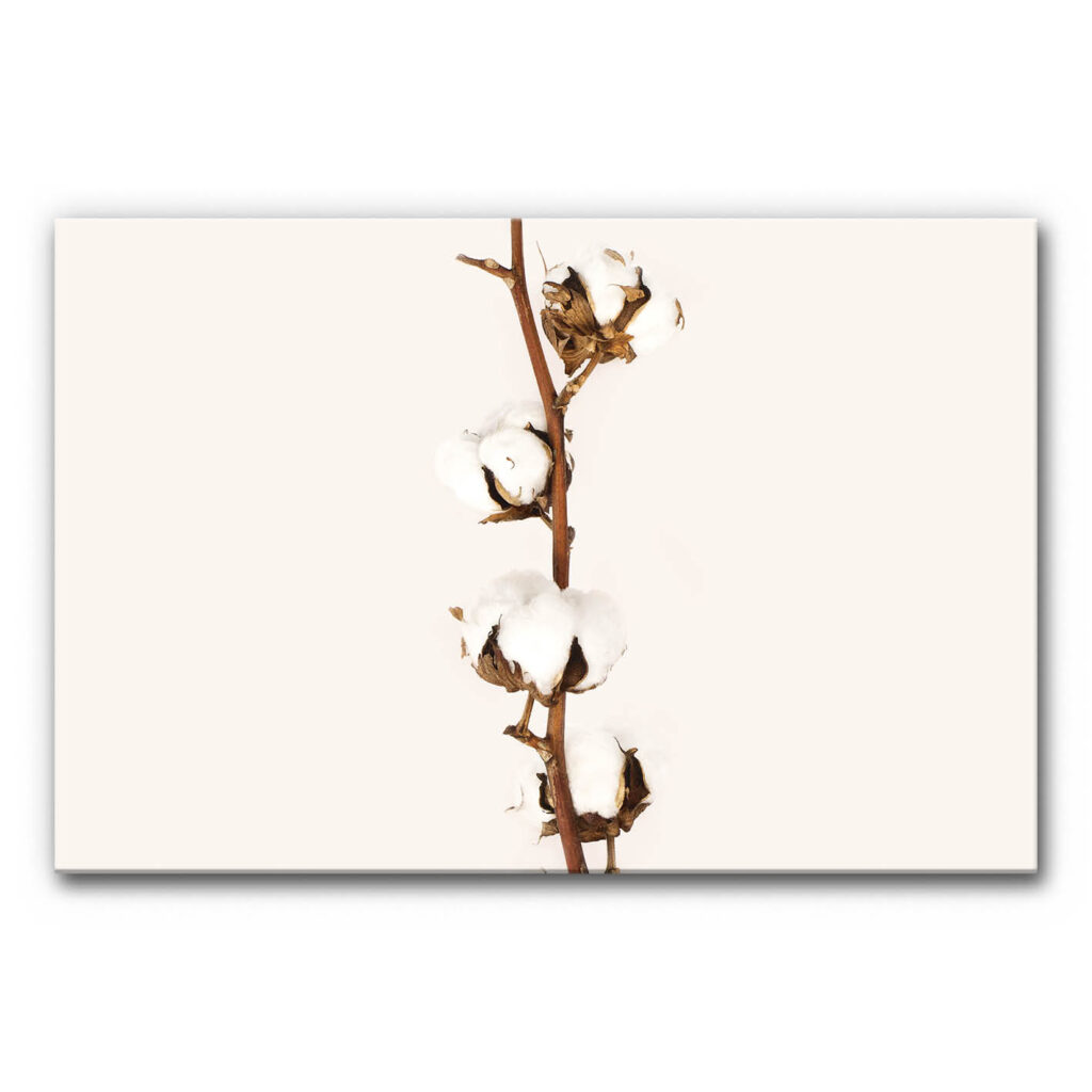 Akustikbild Baumwolle 2