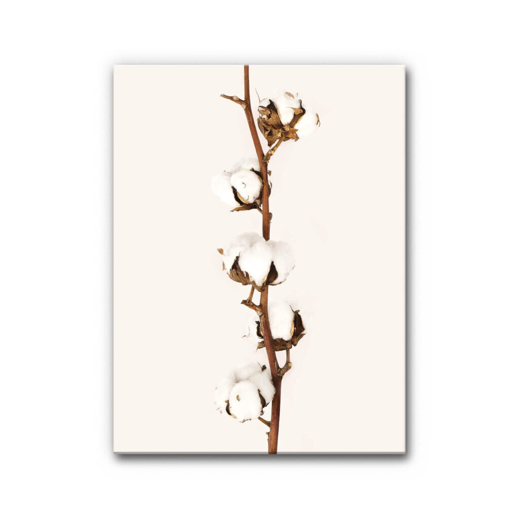 Akustikbild Baumwolle 2