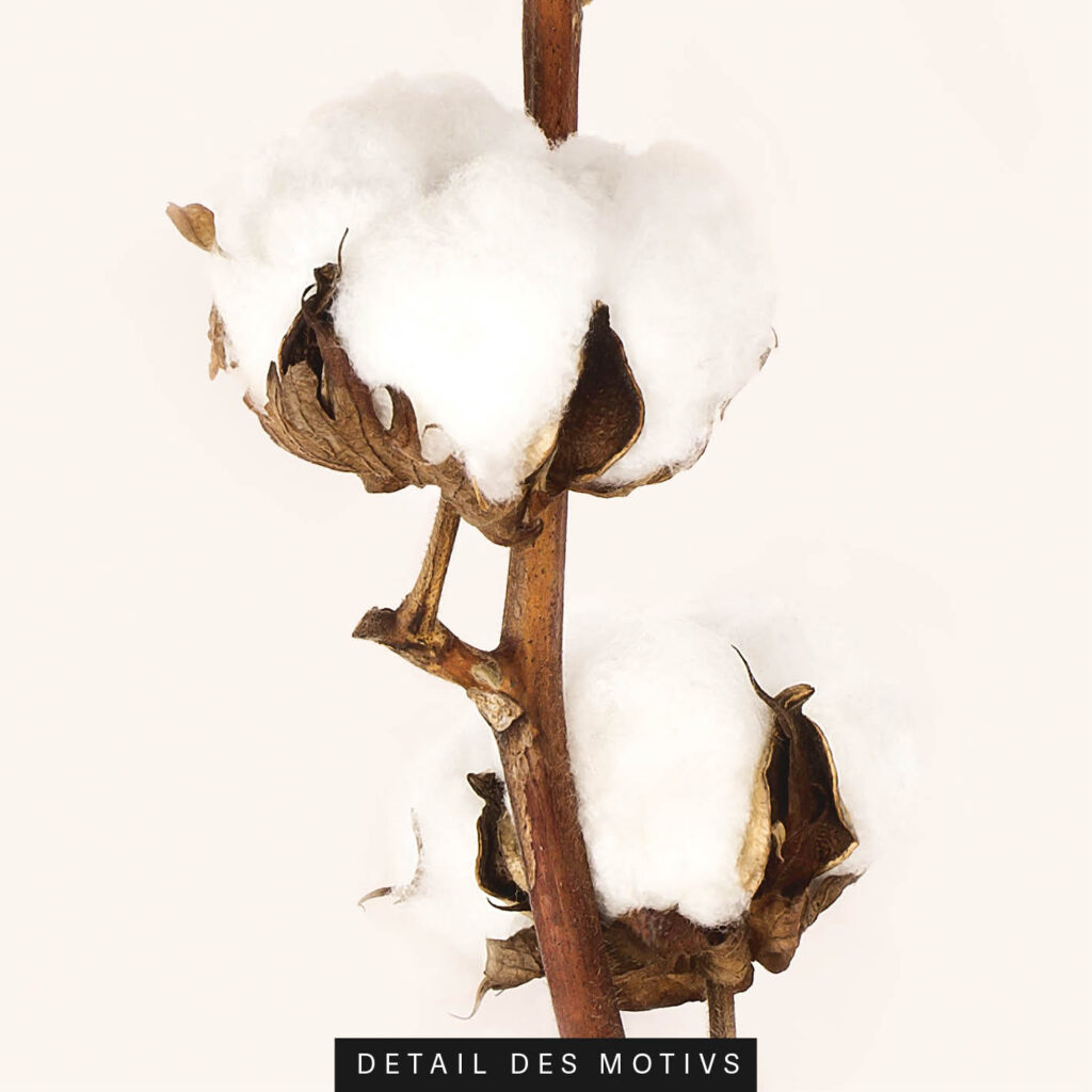 Akustikbild Baumwolle 2