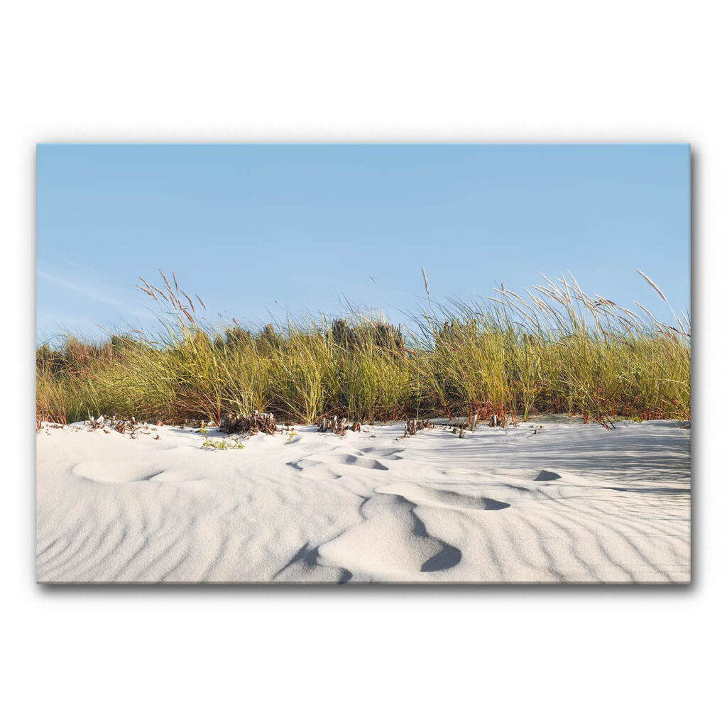 Panorama-Akustikbild mit Dünenlandschaft