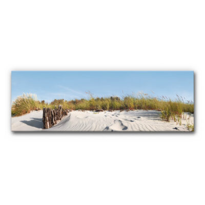 Akustikbild Düne 7 zeigt den Blick auf eine bewachsene Sanddüne.