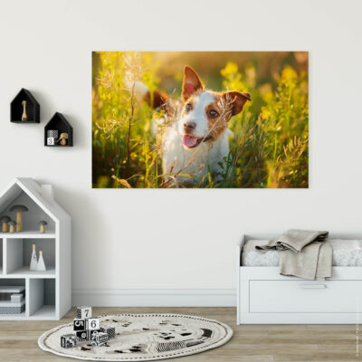 Akustikbild Entdecker Hund