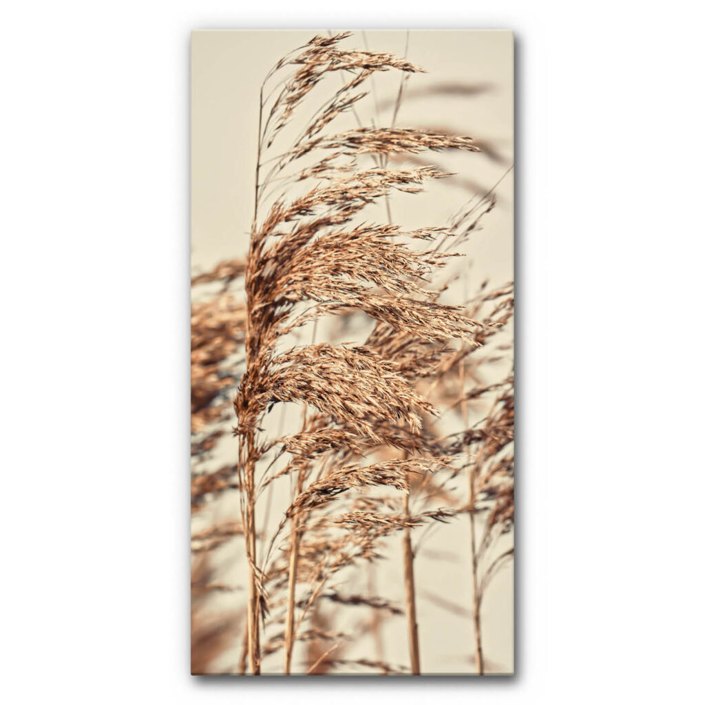 Akkustik bilder schallschutz schalldaemmung home office buero esstisch motiv details der natur graeser 5