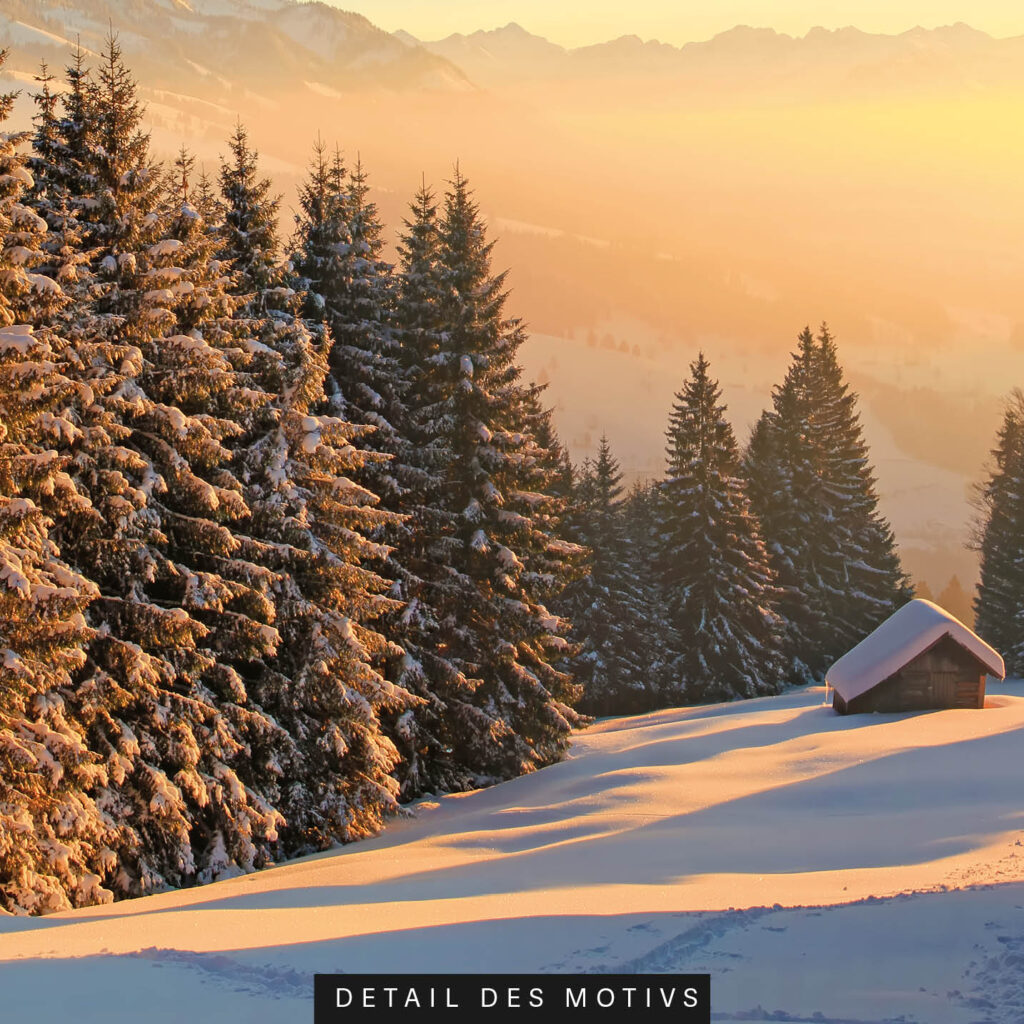 Akustikbild Winterwald 5