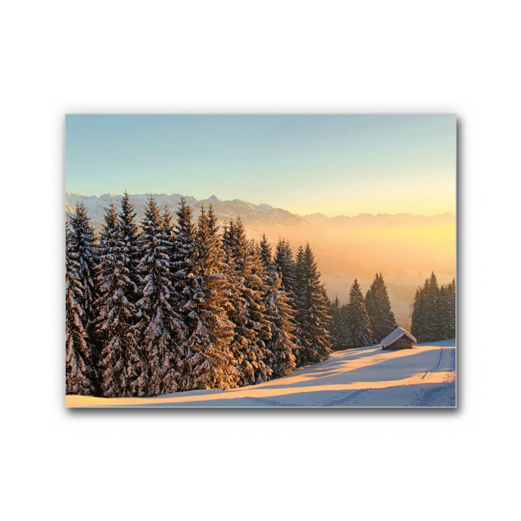 Akustikbild Winterwald 5