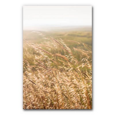 Akustikbild mit Gräsern in warmen Naturtönen, zeigt feine Gräser im sanften Wind vor unscharfer Landschaft in Beige- und Grüntönen, ruhige natürliche Wandgestaltung.