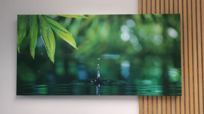 Akustikbild Blatt mit Tropfen (140x70x4 cm CanvasStyle)