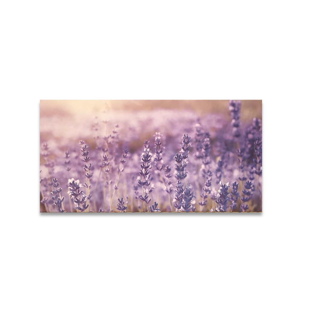 Akustikbild Lavendelfeld – lila Variante (100x50x4 cm, CanvasStyle)