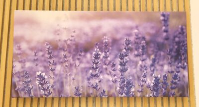 Akustikbild Lavendelfeld - lila Variante (100x50x4 cm, CanvasStyle)
