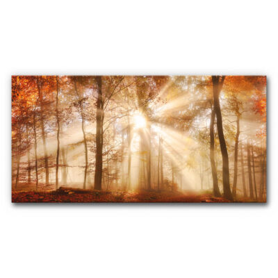 Akustikbild als Panorama mit Herbstwald und Sonnenuntergang.