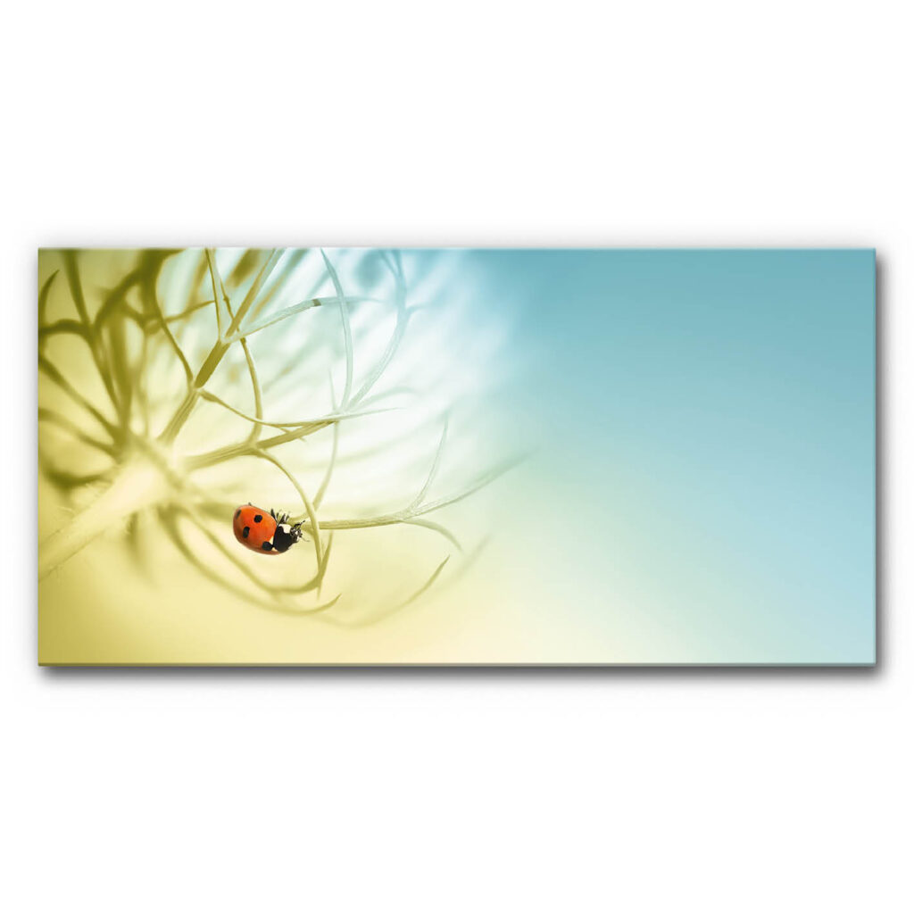 Schallabsorberbild Pusteblume mit Marienkäfer, kleiner roter Käfer auf feinen Samenstrukturen mit Hintergrund in Gelb und Blau, ruhige Makro-Naturaufnahme.