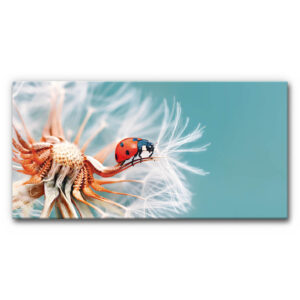 Akustikbild Marienkäfer auf Pusteblume in Makroaufnahme, roter Käfer auf feinen weißen Samen vor türkisfarbenem Hintergrund, detailreiche Naturdarstellung.