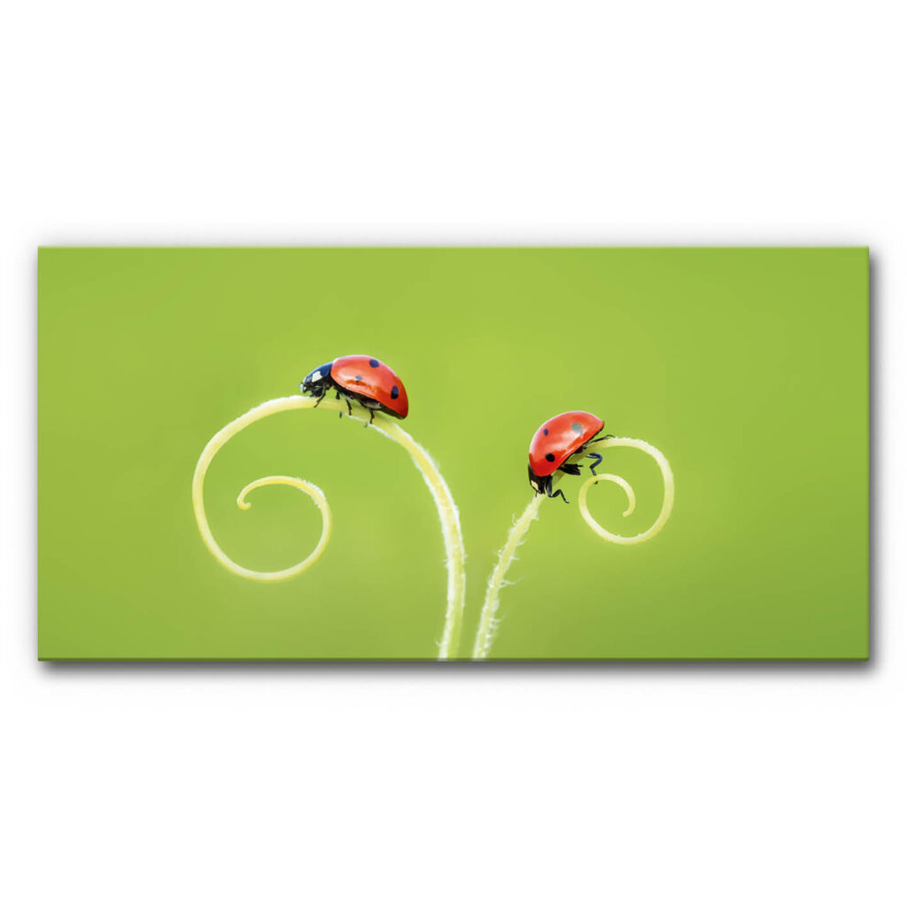 Schallminderndes Wandbild Marienkäfer Minimalismus mit zwei Käfern auf geschwungenen hellen Pflanzenstielen vor grünem Hintergrund, reduzierte Naturkomposition.