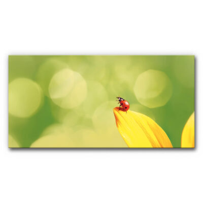 Design-Akustikbild Kleiner Sonnenanbeter Naturmotiv mit rotem Marienkäfer auf gelbem Blütenblatt vor grünem Hintergrund, helle warme Naturaufnahme