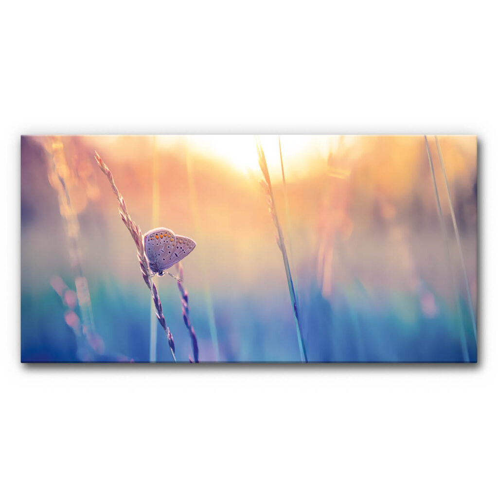 Akustikbild Schmetterling im Abendlicht, kleiner Falter sitzt auf Grashalm vor weichem Farbverlauf in Blau und Gold, ruhige Naturaufnahme bei Sonnenuntergang.