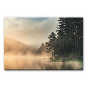 Akustikbild Waldsee mit Nebel zeigt einen stillen See im Morgennebel, dunkle Nadelbäume am Ufer und warmes Licht über einer ruhigen Waldlandschaft.