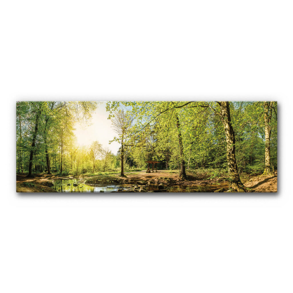 Akustikbild Naturmotiv für Wartezonen und Büros mit sonniger Waldlichtung, Bachlauf, grünen Bäumen, hellem Licht und breitem Panoramaformat.