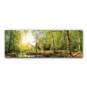 Akustikbild Naturmotiv für Wartezonen und Büros mit sonniger Waldlichtung, Bachlauf, grünen Bäumen, hellem Licht und breitem Panoramaformat.