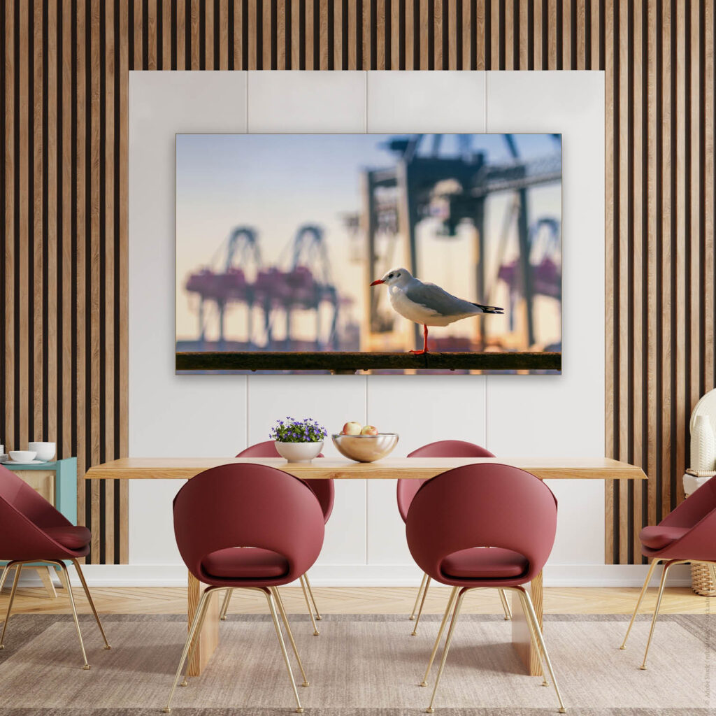 Akustikbild Möwe am Hamburger Hafen