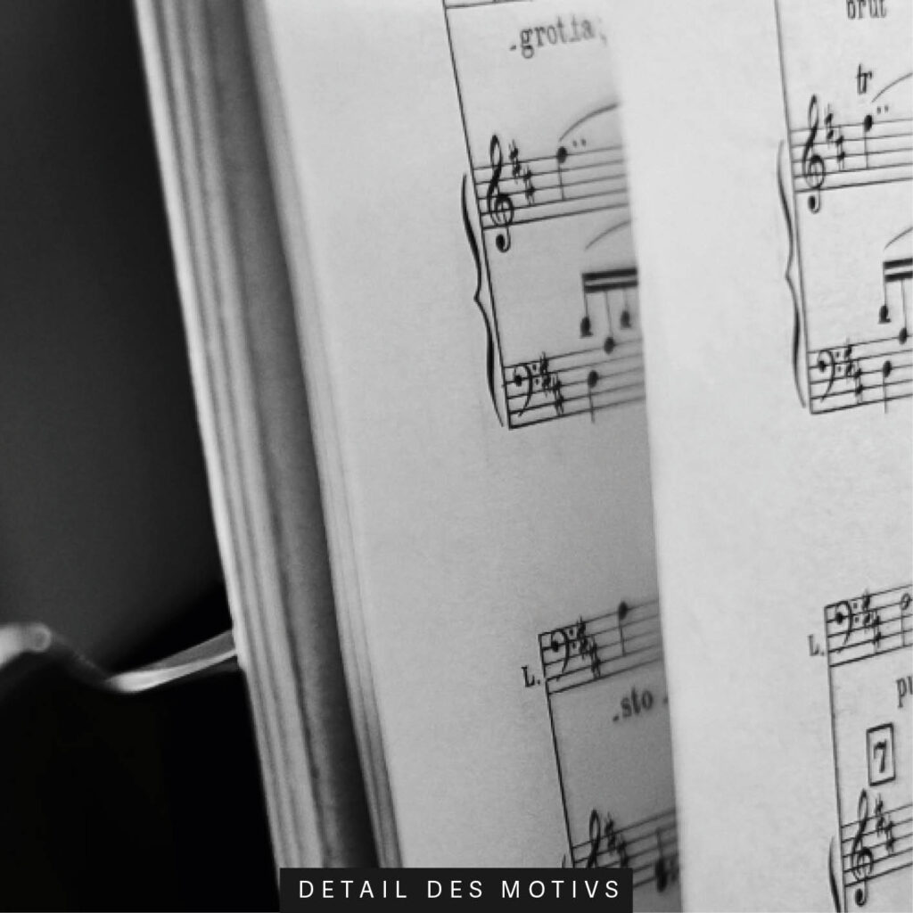 Akustikbild Valentino Funghi